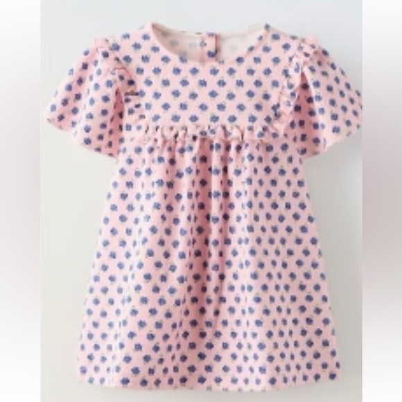 Zara Other - EUC Zara Pink Dress with Blue Floral Print and Ruffle Sleeves
